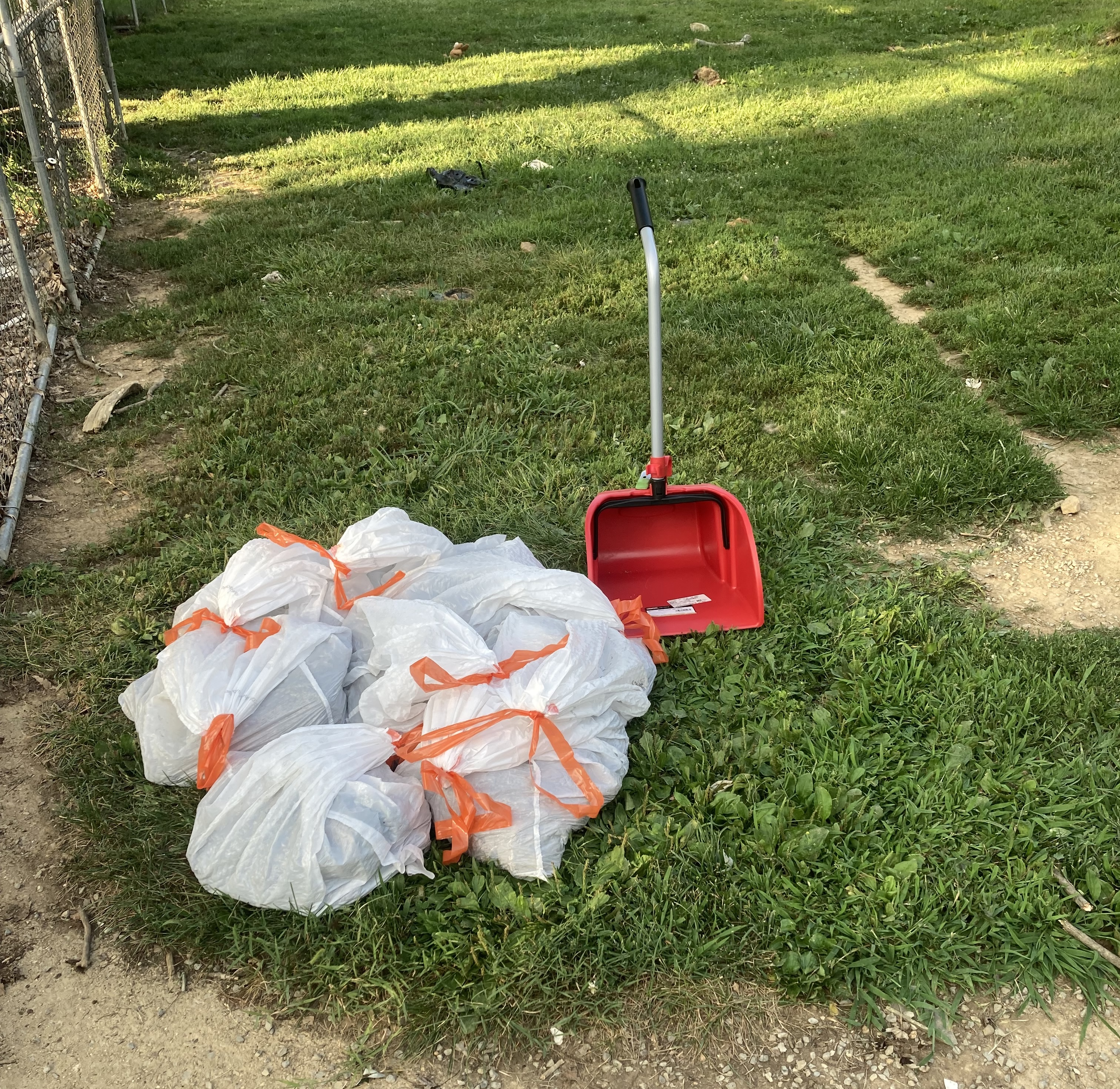 Bagged dog waste after cleanup