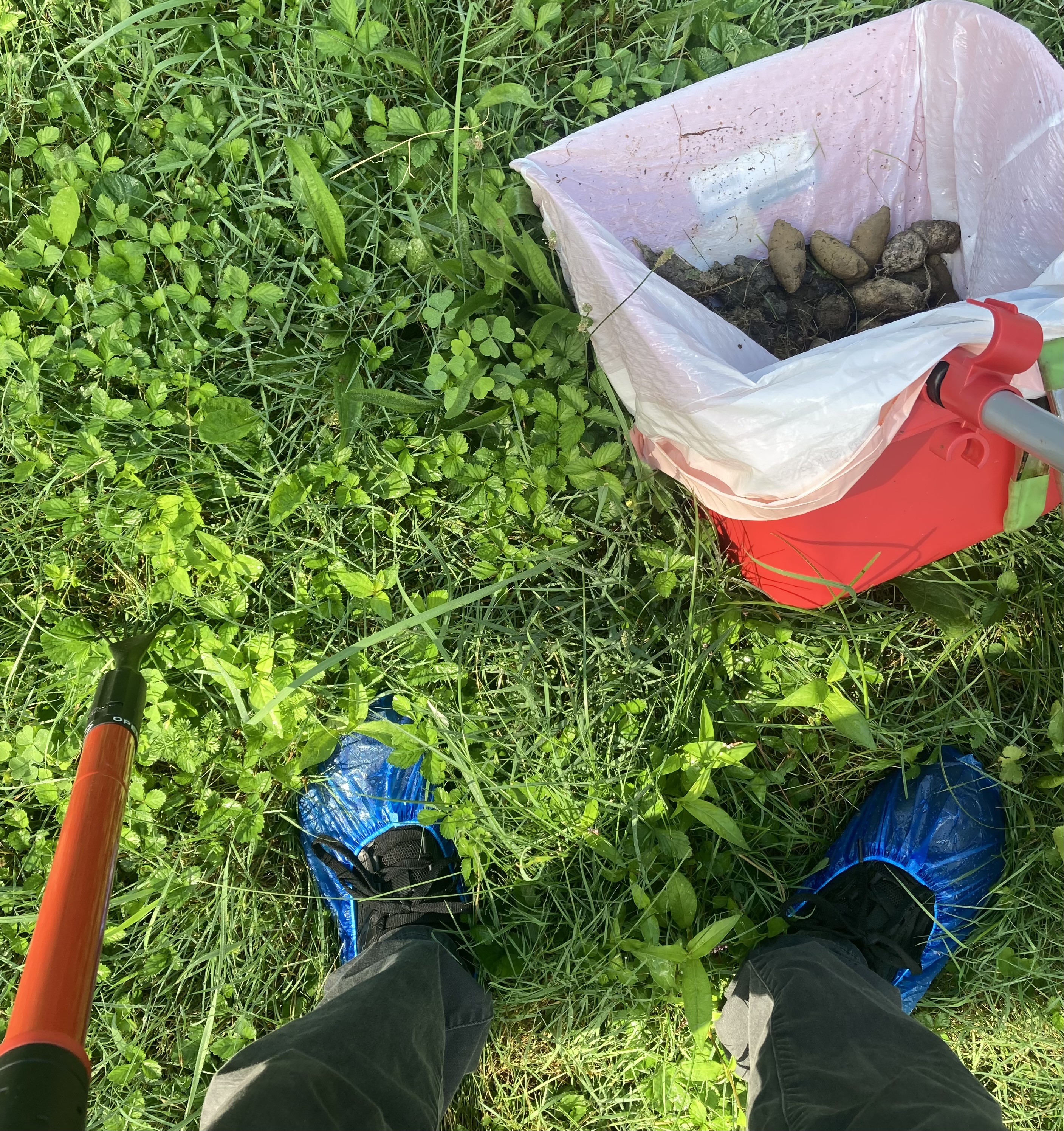 Cleanup tools and protective shoe covers